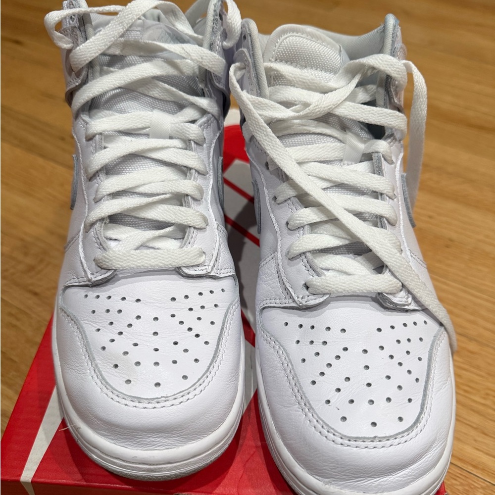 Nike Dunk Hi SP White and Platinum